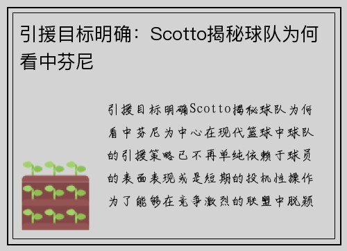 引援目标明确：Scotto揭秘球队为何看中芬尼