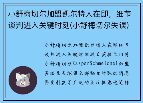 小舒梅切尔加盟凯尔特人在即，细节谈判进入关键时刻(小舒梅切尔失误)