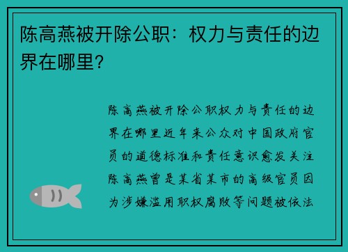 陈高燕被开除公职：权力与责任的边界在哪里？